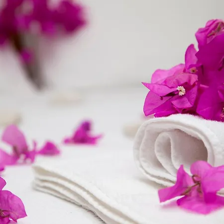 호텔 케코바 카스